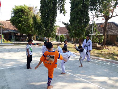 takwondo